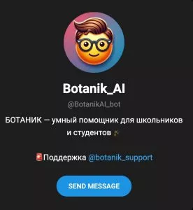 Образовательный бот-помощник для студентов